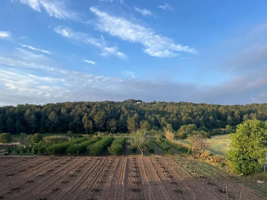 Casa Del Raco, Turisme Rural Calma I Pedra A 14 Minuts De La Platja Villa Ardenya Spain